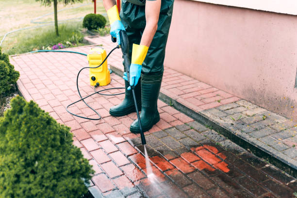 Best Pressure Washing Siding  in Munising, MI