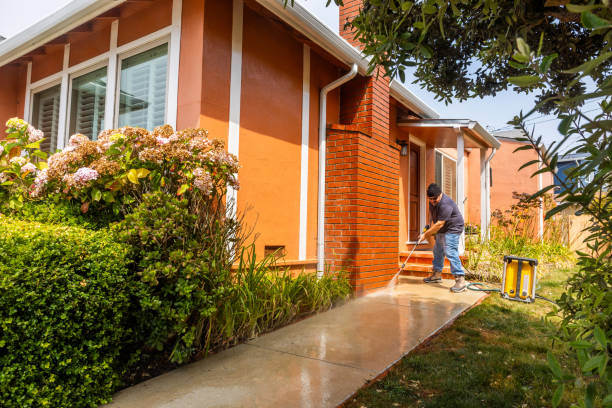 Best Local Pressure Washing Services  in Munising, MI