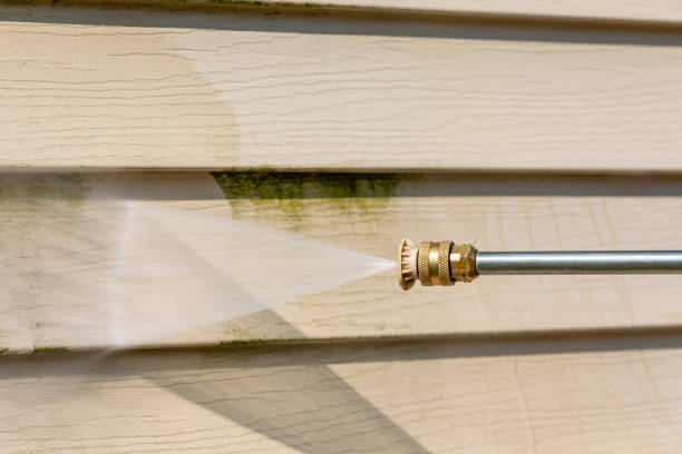 Best Deck Cleaning Services  in Munising, MI